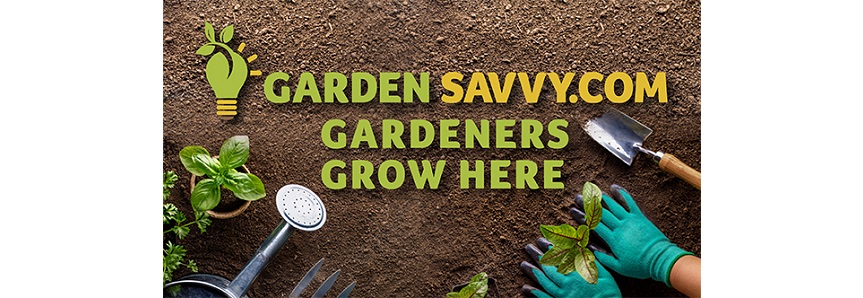 Bonsai Boy Discount Codes 2024 Banner